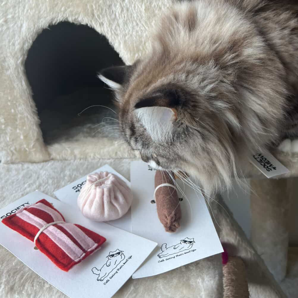 Dim Sum Cat Toy