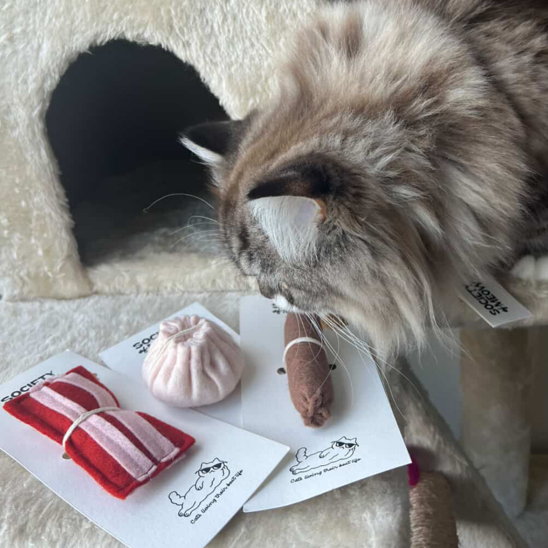 Dim Sum Cat Toy
