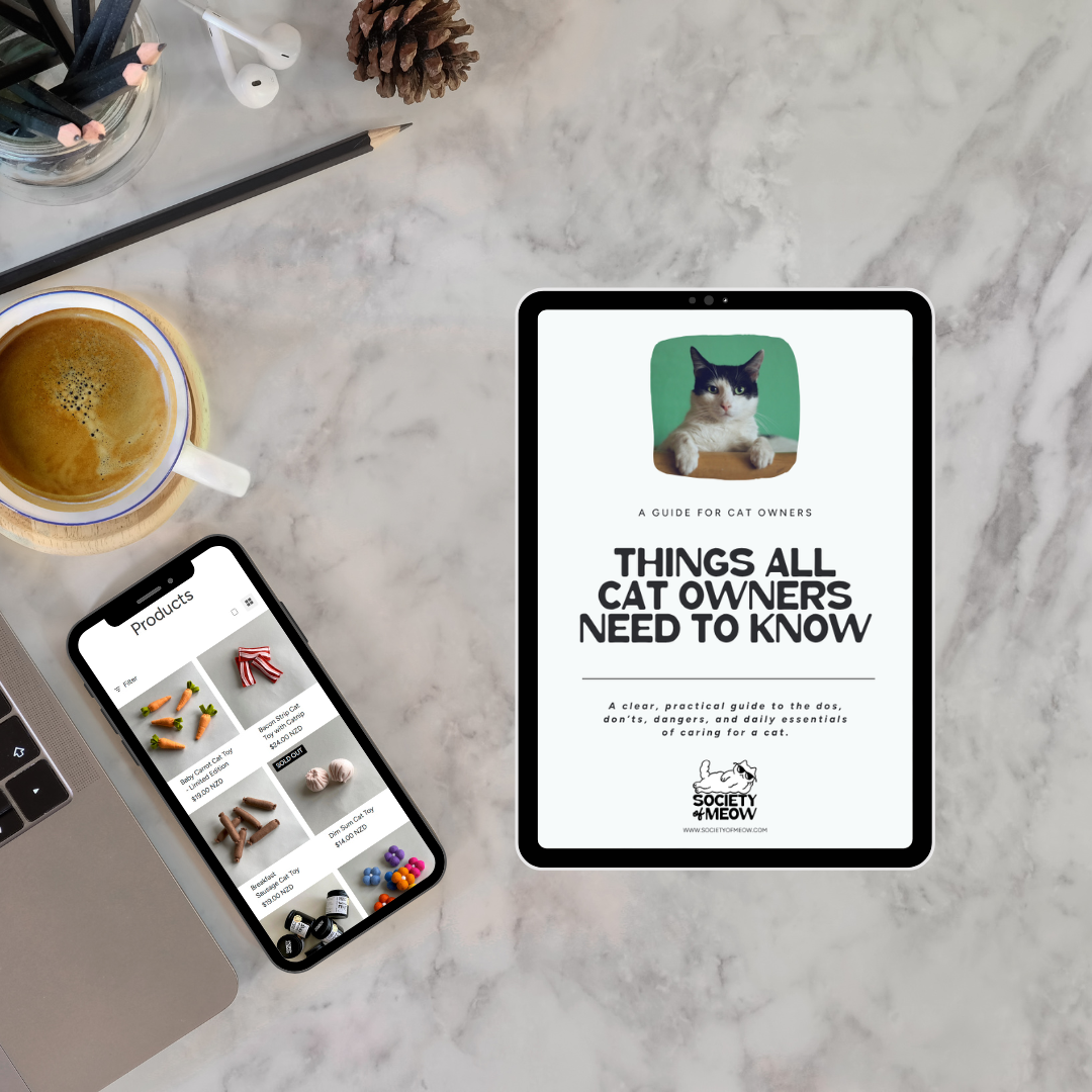 Things All Cat Owners Need to Know – E-book