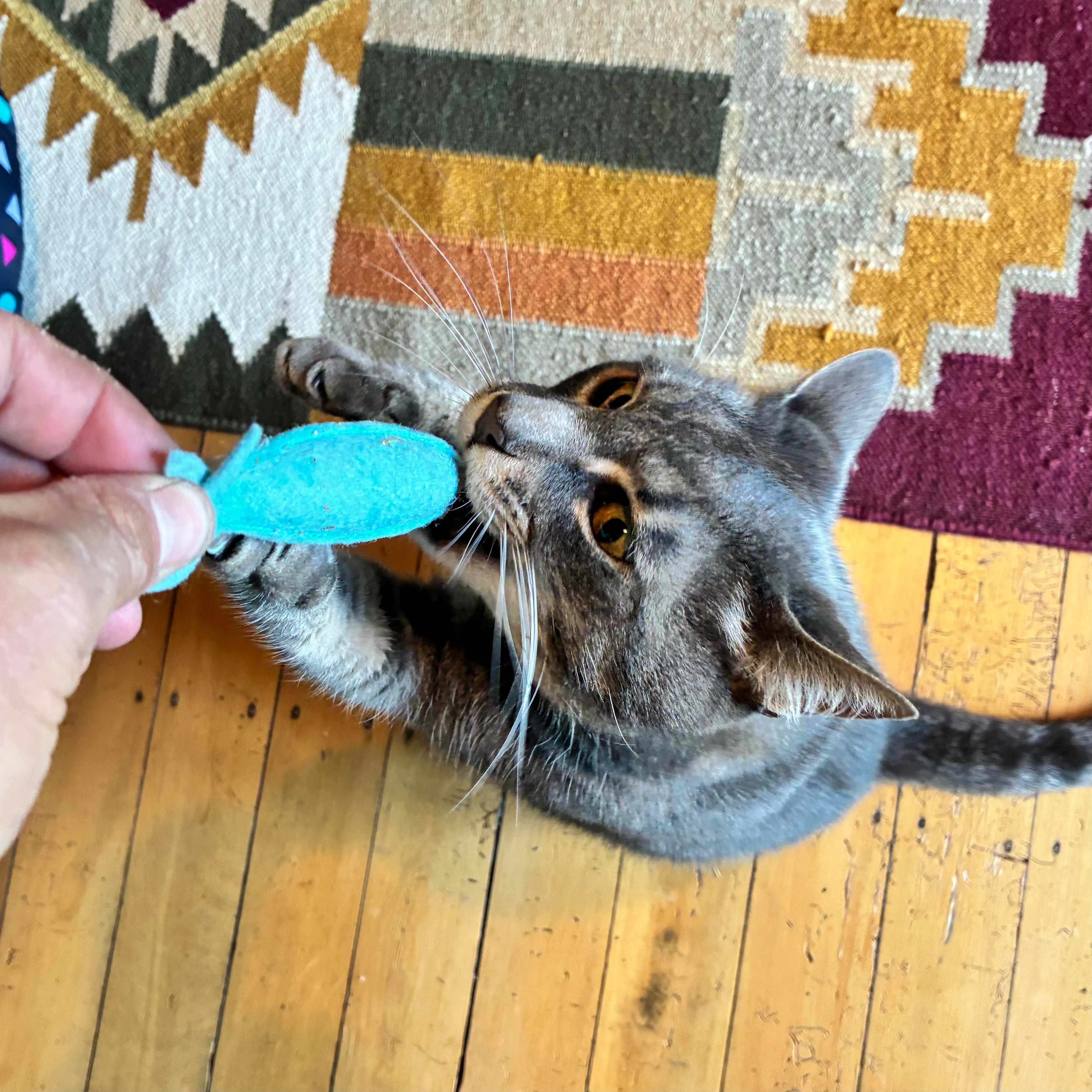 Tiny Tuna Cat Toy