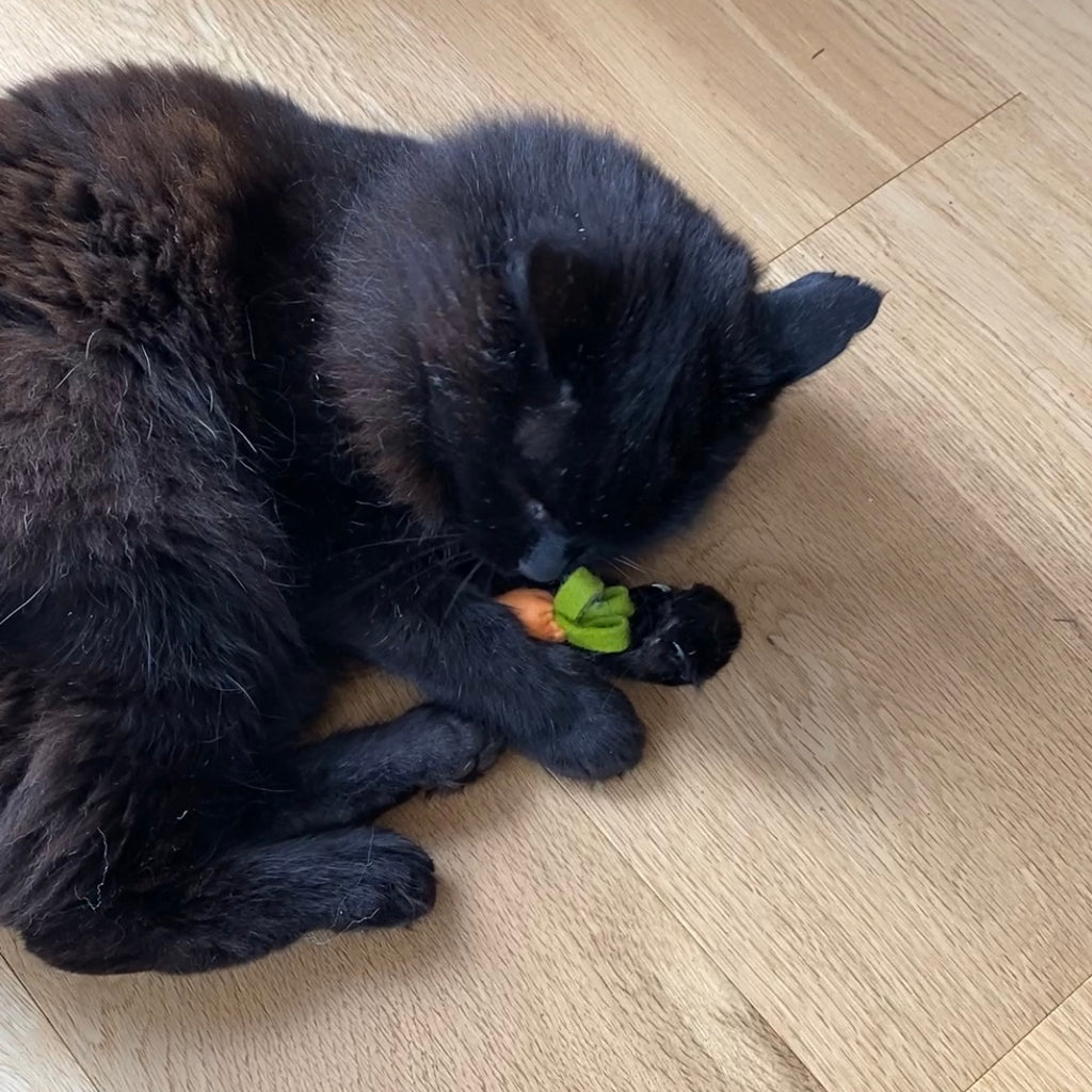 Baby Carrot Cat Toy - Limited Edition