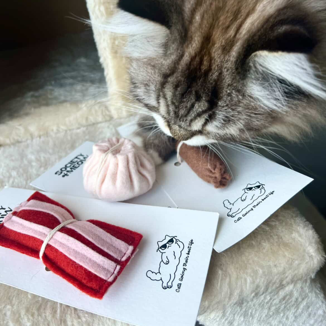 Bacon Strip Cat Toy with Catnip