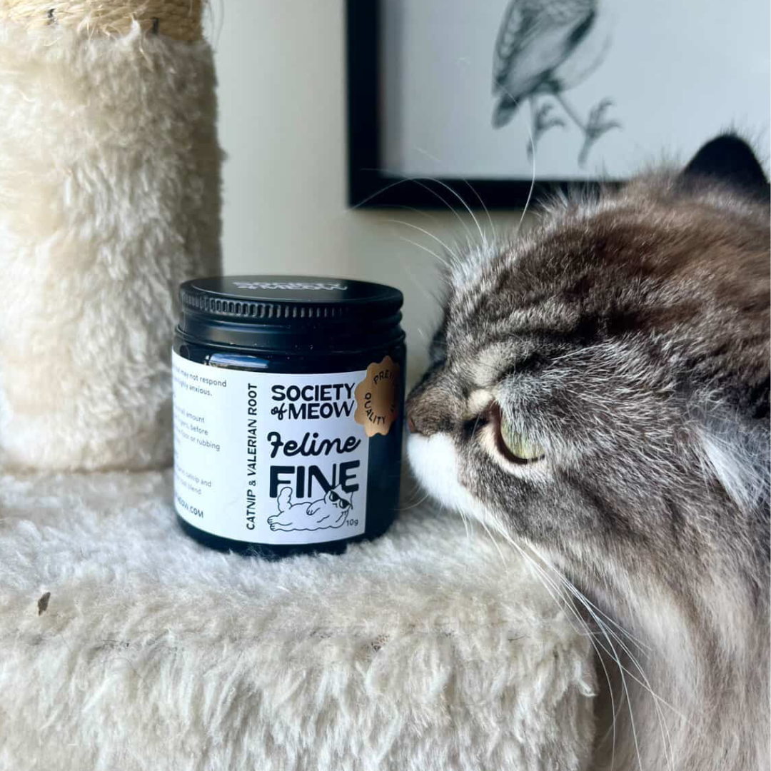 Feline Fine Dried Organic Catnip Blend