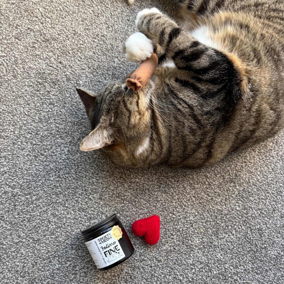 Breakfast Sausage Cat Toy