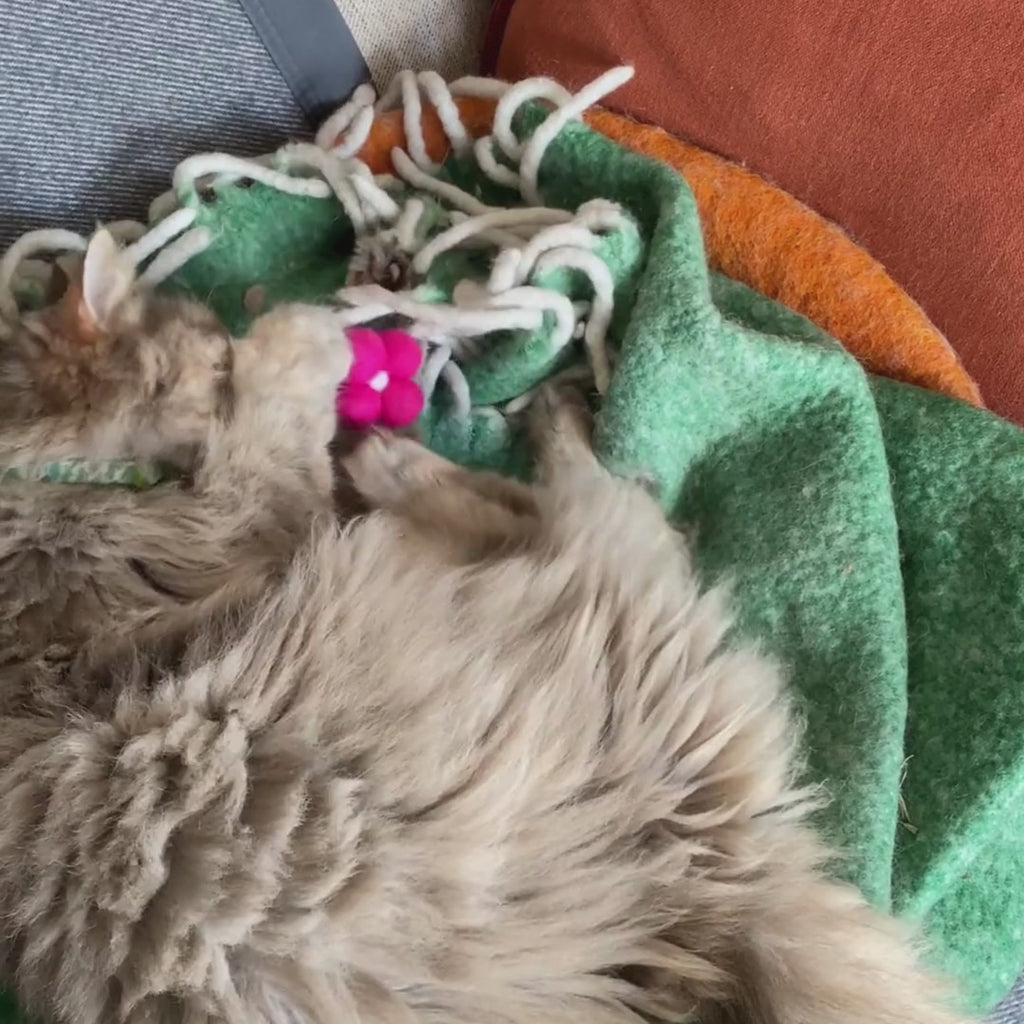 Flower Power Cat Toy